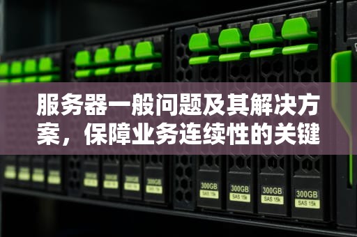 服务器一般问题及其解决方案，保障业务连续性的关键，服务器一般问题有哪些
