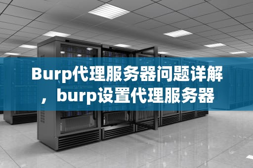 Burp代理服务器问题详解，burp设置代理服务器