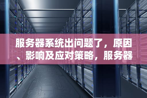 服务器系统出问题了，原因、影响及应对策略，服务器系统出问题了,如何拷贝文件