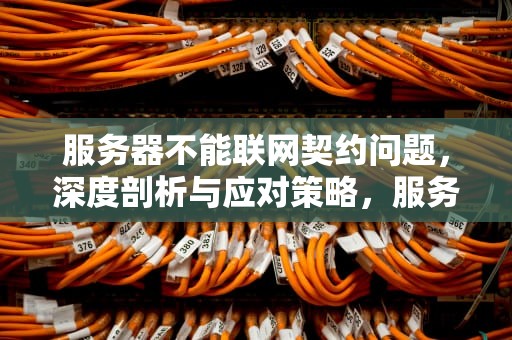 服务器不能联网契约问题，深度剖析与应对策略，服务器不能联网契约问题怎么解决