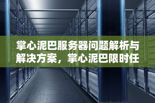 掌心泥巴服务器问题解析与解决方案，掌心泥巴限时任务
