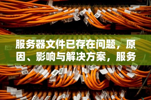 服务器文件已存在问题，原因、影响与解决方案，服务器文件已存在问题怎么解决