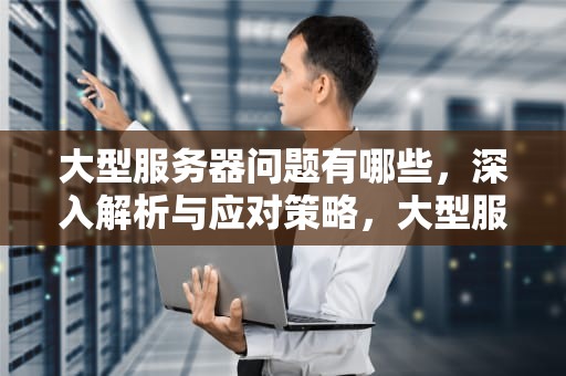 大型服务器问题有哪些，深入解析与应对策略，大型服务器问题有哪些类型