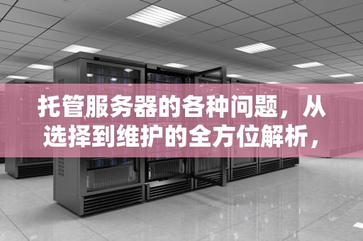 托管服务器的各种问题，从选择到维护的全方位解析，托管服务器的各种问题有哪些