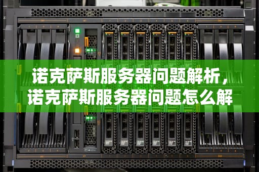 诺克萨斯服务器问题解析，诺克萨斯服务器问题怎么解决