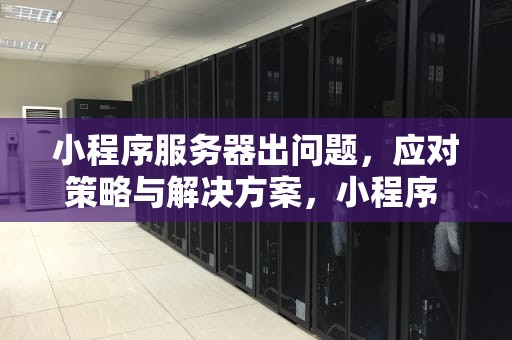 小程序服务器出问题，应对策略与解决方案，小程序 服务器出问题怎么解决