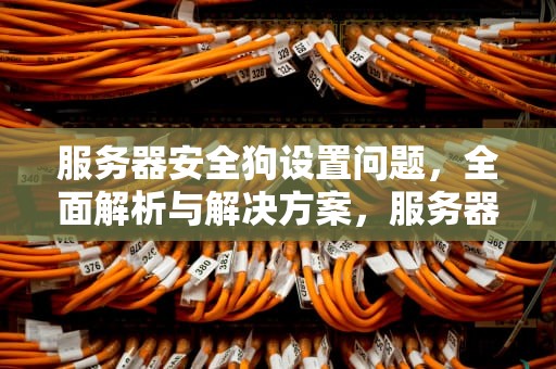 服务器安全狗设置问题，全面解析与解决方案，服务器安全狗是什么