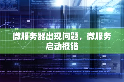 微服务器出现问题，微服务启动报错