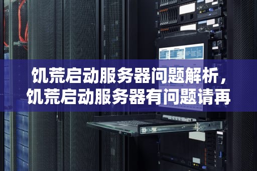 饥荒启动服务器问题解析，饥荒启动服务器有问题请再次尝试