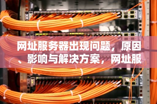 网址服务器出现问题，原因、影响与解决方案，网址服务器出现问题怎么解决