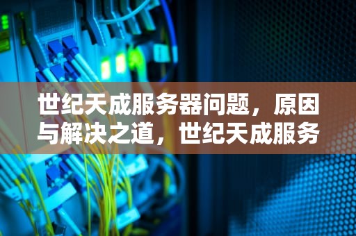 世纪天成服务器问题，原因与解决之道，世纪天成服务器在哪?