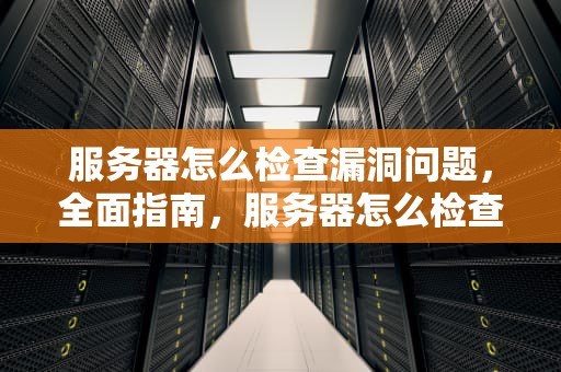 服务器怎么检查漏洞问题，全面指南，服务器怎么检查漏洞问题呢