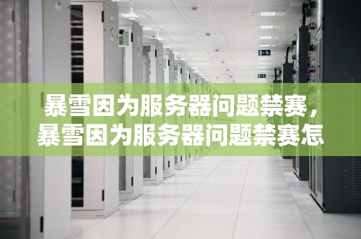 暴雪因为服务器问题禁赛，暴雪因为服务器问题禁赛怎么办