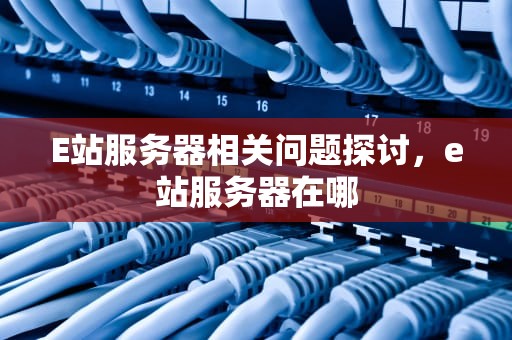 E站服务器相关问题探讨，e站服务器在哪
