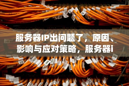 服务器IP出问题了，原因、影响与应对策略，服务器ip出问题了怎么办