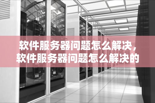 软件服务器问题怎么解决，软件服务器问题怎么解决的