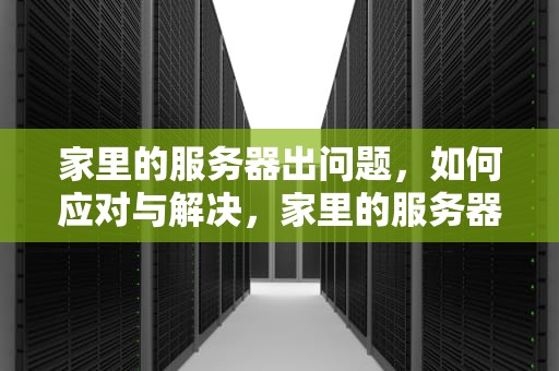 家里的服务器出问题，如何应对与解决，家里的服务器出问题了怎么办