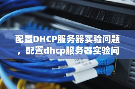 配置DHCP服务器实验问题，配置dhcp服务器实验问题有哪些