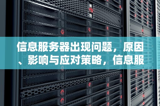 信息服务器出现问题，原因、影响与应对策略，信息服务器出现问题怎么解决