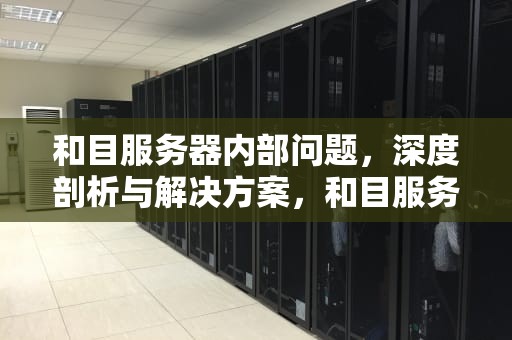 和目服务器内部问题，深度剖析与解决方案，和目服务器异常