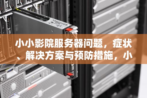 小小影院服务器问题，症状、解决方案与预防措施，小小影视无响应