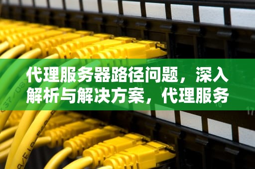 代理服务器路径问题，深入解析与解决方案，代理服务器路径问题怎么解决