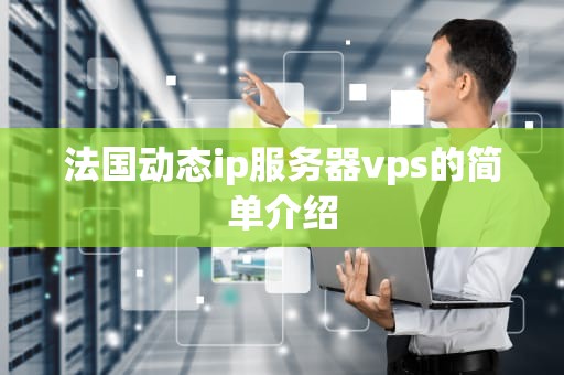 法国动态ip服务器vps的简单介绍