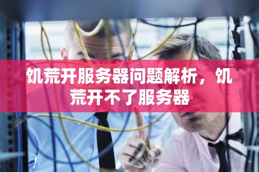 饥荒开服务器问题解析，饥荒开不了服务器