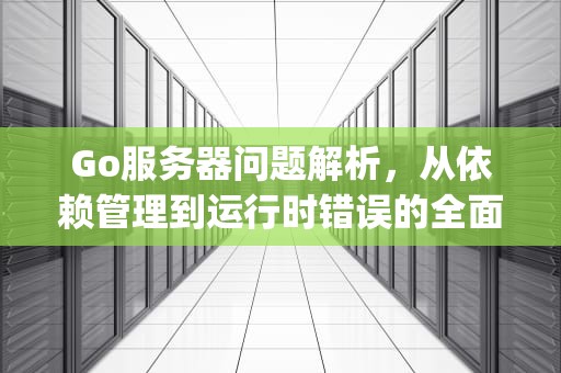 Go服务器问题解析，从依赖管理到运行时错误的全面指南，go服务器有问题没反应