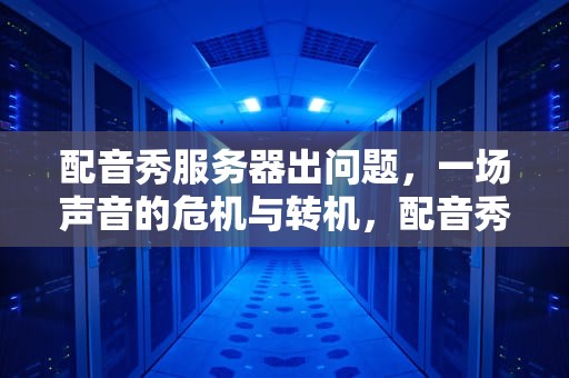 配音秀服务器出问题，一场声音的危机与转机，配音秀服务器出问题怎么解决