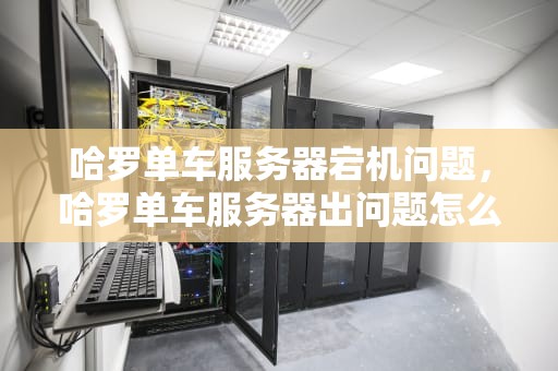 哈罗单车服务器宕机问题，哈罗单车服务器出问题怎么办