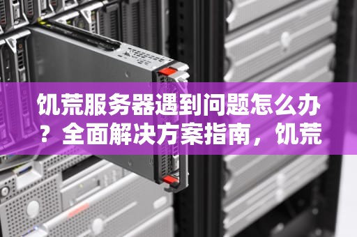 饥荒服务器遇到问题怎么办？全面解决方案指南，饥荒服务器出现问题