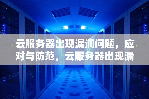 云服务器出现漏洞问题，应对与防范，云服务器出现漏洞问题怎么解决