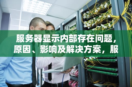 服务器显示内部存在问题，原因、影响及解决方案，服务器显示内部存在问题怎么解决