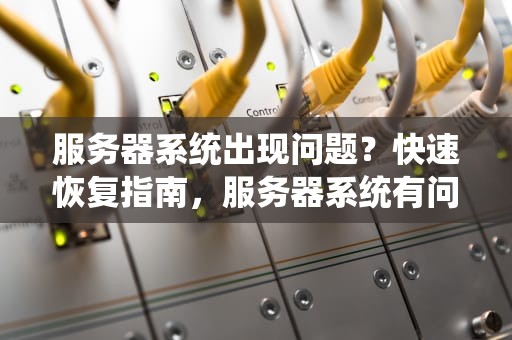 服务器系统出现问题？快速恢复指南，服务器系统有问题 恢复出厂设置