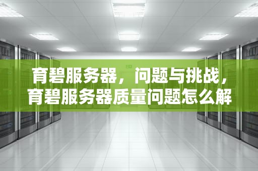 育碧服务器，问题与挑战，育碧服务器质量问题怎么解决