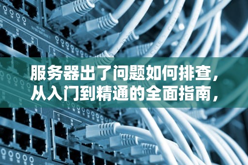 服务器出了问题如何排查，从入门到精通的全面指南，服务器出了问题如何排查故障