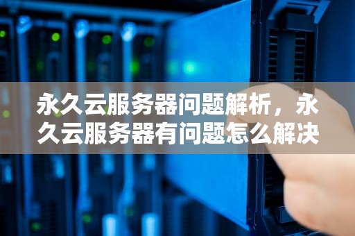 永久云服务器问题解析，永久云服务器有问题怎么解决