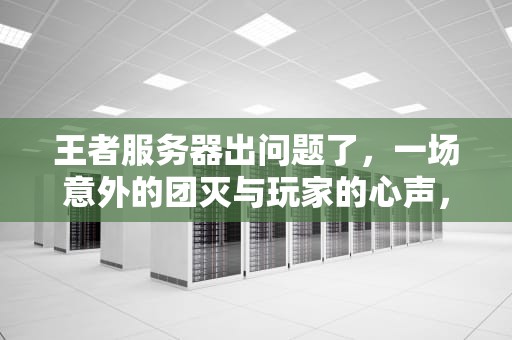 王者服务器出问题了，一场意外的团灭与玩家的心声，王者服务器出问题了怎么办