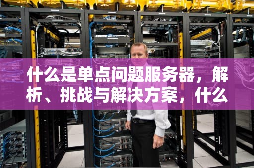 什么是单点问题服务器，解析、挑战与解决方案，什么是单点问题服务器