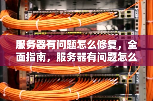 服务器有问题怎么修复，全面指南，服务器有问题怎么修复啊