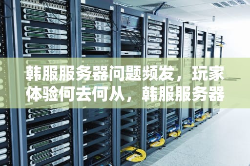 韩服服务器问题频发，玩家体验何去何从，韩服服务器出了问题怎么办