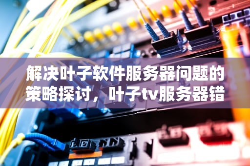 解决叶子软件服务器问题的策略探讨，叶子tv服务器错误怎么办
