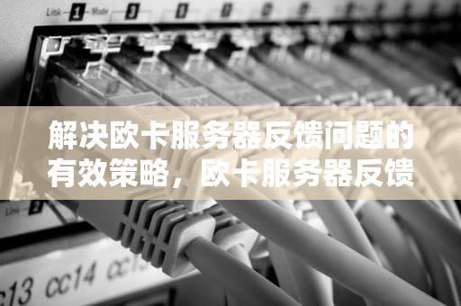 解决欧卡服务器反馈问题的有效策略，欧卡服务器反馈问题怎么解决