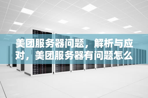 美团服务器问题，解析与应对，美团服务器有问题怎么办
