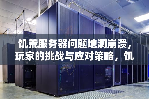 饥荒服务器问题地洞崩溃，玩家的挑战与应对策略，饥荒服务器地洞进不去