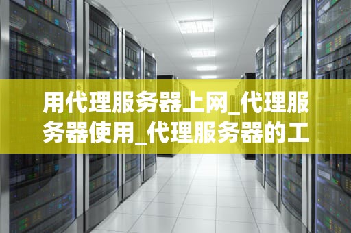 用代理服务器上网_代理服务器使用_代理服务器的工作原理与应用