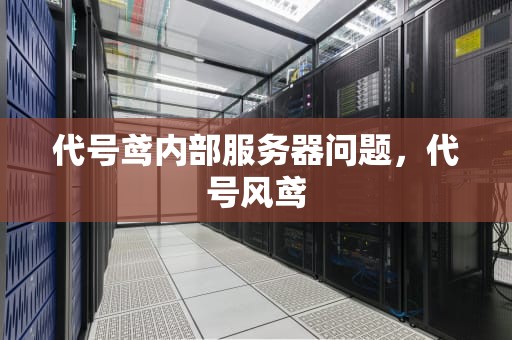代号鸢内部服务器问题，代号风鸢