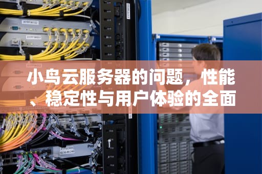 小鸟云服务器的问题，性能、稳定性与用户体验的全面分析，小鸟云服务器怎么样