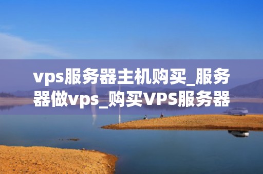 vps服务器主机购买_服务器做vps_购买VPS服务器主机的全面指南